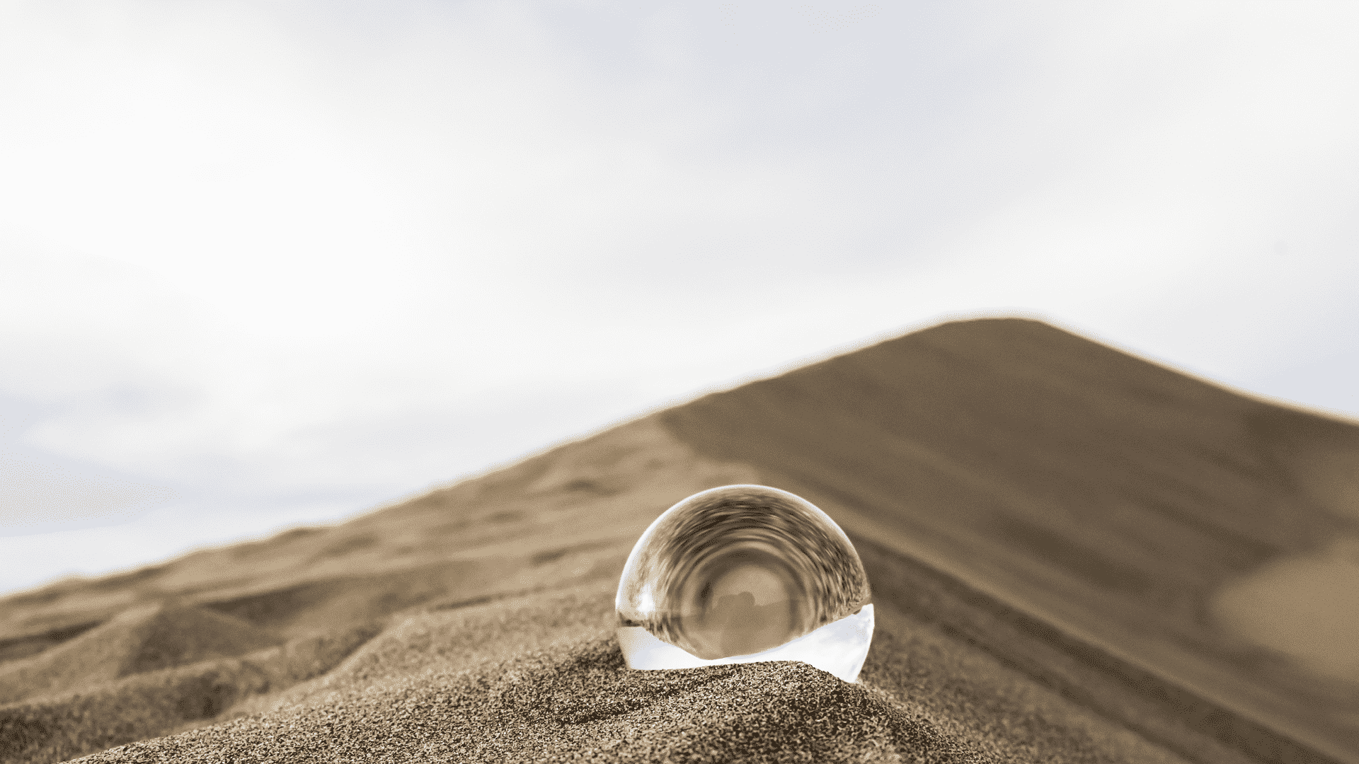 Gulf Minerals & Chemicals